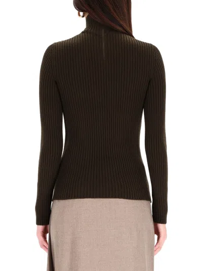 Max Mara Ribbed Turtleneck Sweater In Multi