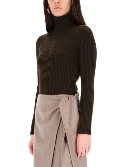 Max Mara Ribbed Turtleneck Sweater In Multi