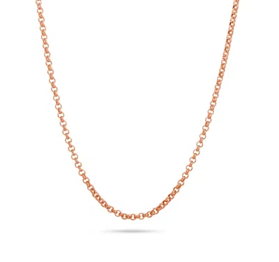 Evesaddiction Rose Gold Steel Rolo Chain In Red