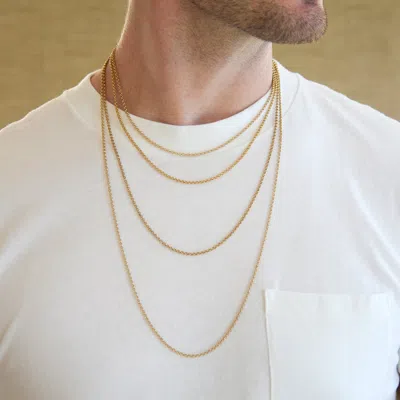 Evesaddiction Gold Stainless Steel Rolo Chain In Gold