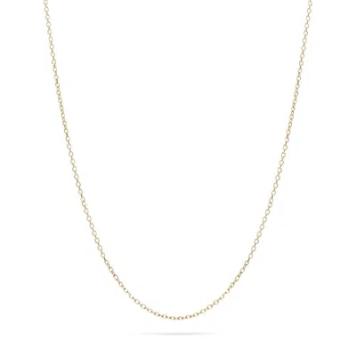 Evesaddiction 14k Gold Rolo Chain 16" In Gold