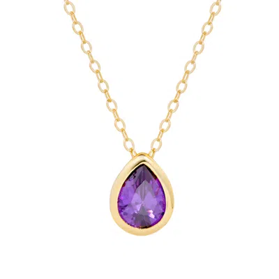 Evesaddiction Gold Plated February Pear Cut Bezel Birthstone Necklace In Purple