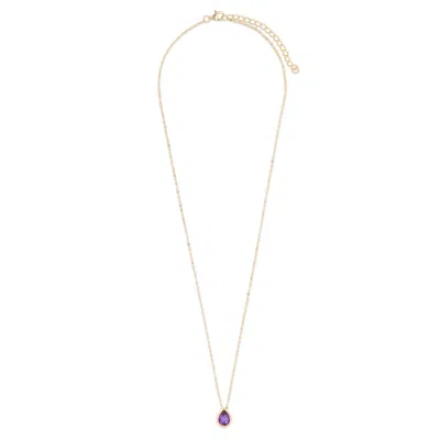 Evesaddiction Gold Plated February Pear Cut Bezel Birthstone Necklace In Purple