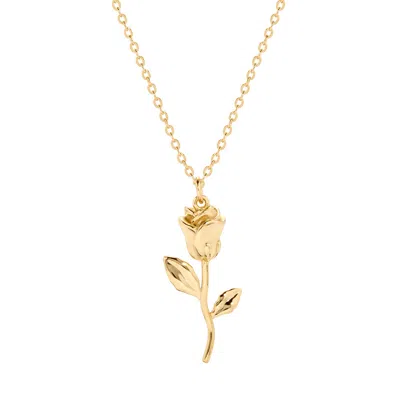Evesaddiction Gold Plated Forever Rose Pendant In Gold