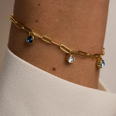 Evesaddiction Custom Paperclip Chain Birthstone Charm Bracelet