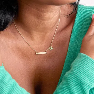 Evesaddiction Gold Plated Engravable Bar Pet Charm Necklace In Gold