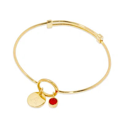 Evesaddiction Custom Gold Birthstone And Initial Charm Bangle Bracelet In Gold
