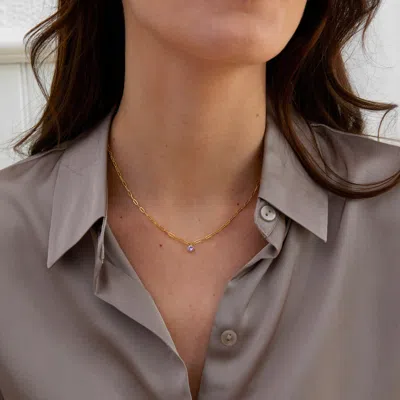 Evesaddiction Custom Gold Paperclip Chain Birthstone Charm Necklace In Gold