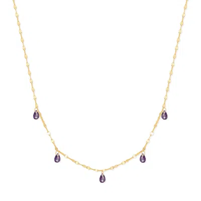 Evesaddiction Teardrop Birthstone Necklace - Gold / February In Purple