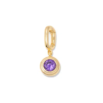 Evesaddiction Birthstone Hinge Charm In Purple