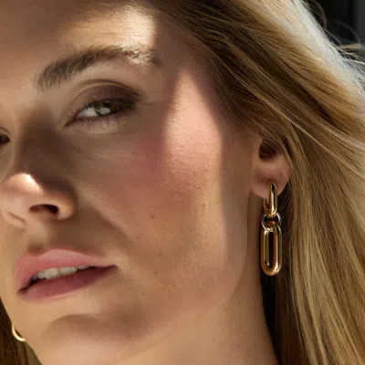 Evesaddiction Two Tone Link Drop Earring In Gold