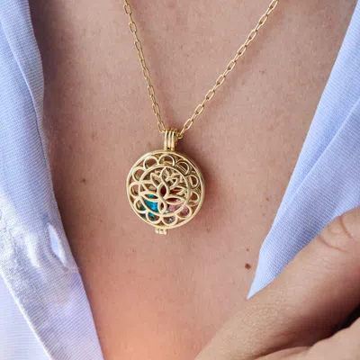 Evesaddiction Custom Flower Birthstone Locket In Gold