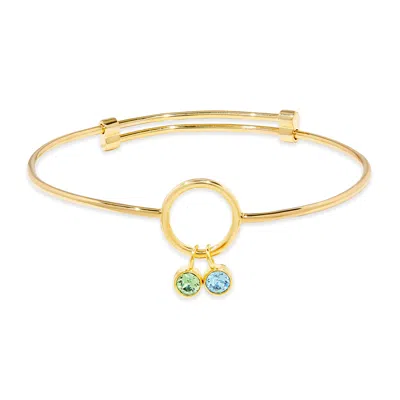 Evesaddiction Custom Birthstone Charm Bangle Bracelet - Gold / 2 In Gold