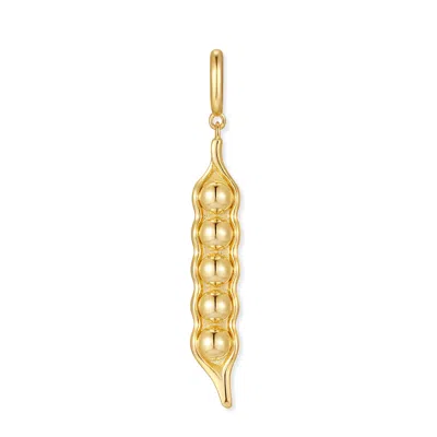 Evesaddiction Waterproof Pea In A Pod Charm - Gold / 5 In Gold