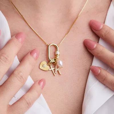 Evesaddiction Carabiner Vertical Charm Necklace In Gold