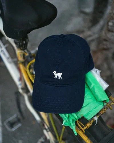 Lost Pattern Nyc "pan Pan" Baseball Cap In Blue