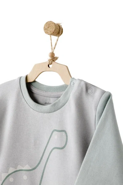 Andy Wawa Dino Dreams Baby Set In Gray