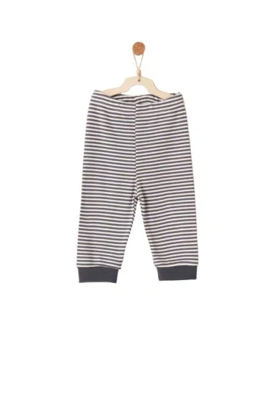 Andy Wawa Stripe Pj Set In Gray