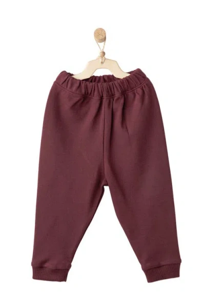 Andy Wawa Bear Hug Play Set In Burgundy