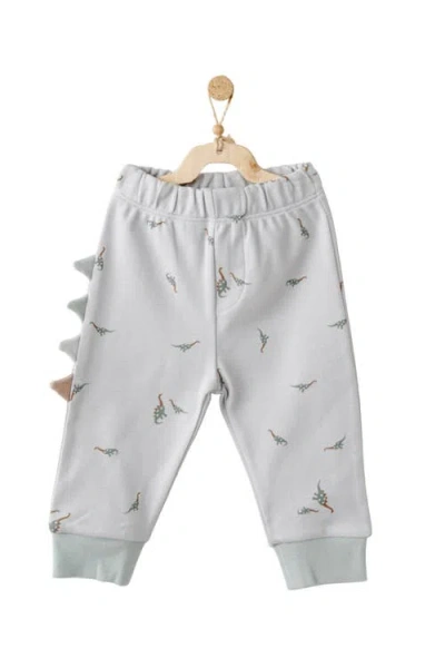 Andy Wawa Dino Spikes Adventure Set In Gray