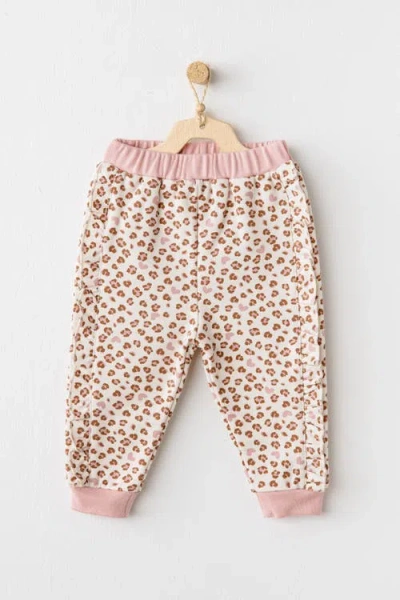 Andy Wawa Blush Star & Petal Set In Pink