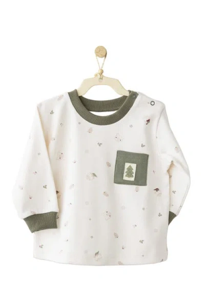 Andy Wawa Little Spruce Lounge Set In Green