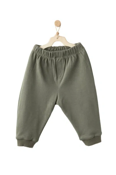 Andy Wawa Little Spruce Lounge Set In Green