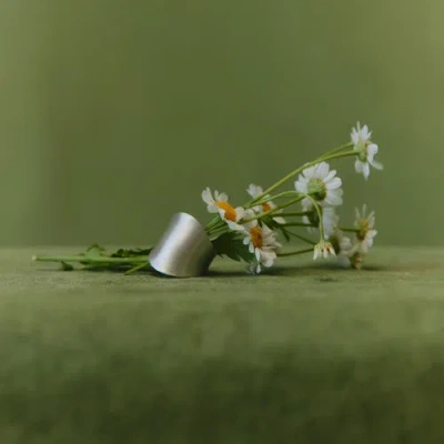 Loupn Armor Ring In Silver