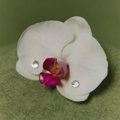 Loupn Taegeuk Peace Earrings In Silver