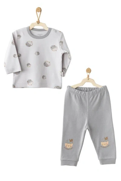 Andy Wawa Nutty Buddy Set In Gray