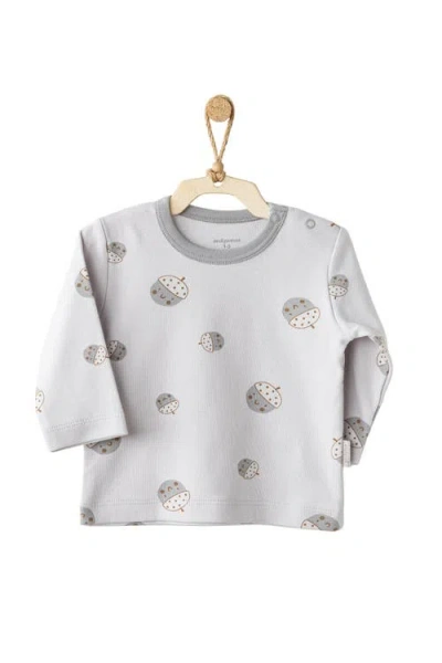 Andy Wawa Nutty Buddy Set In Gray