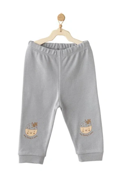 Andy Wawa Nutty Buddy Set In Gray