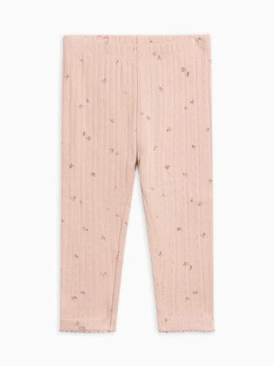 Kendi Gina Pointelle Leggings In Pink