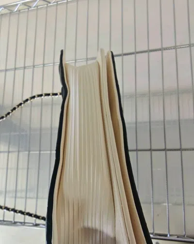 Pre-owned Chanel Women Pre-loved Bag Very Good Condition In Multi