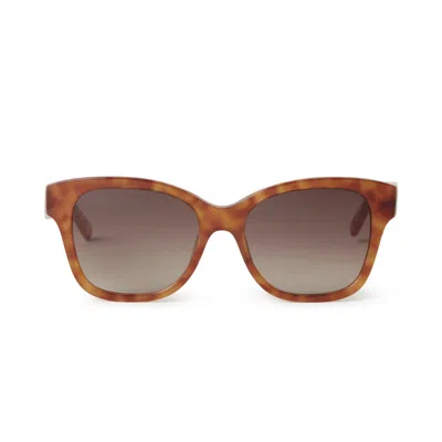 Mulberry Daisy Sunglasses Blonde Horn In Brown