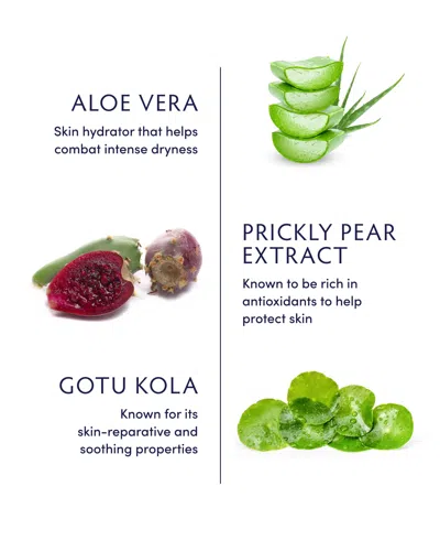 Naturopathica Aloe Vera Replenishing Gel Mask