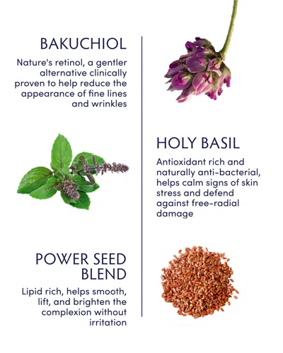 Naturopathica Holy Basil & Bakuchiol Ageless Night Oil In Multi