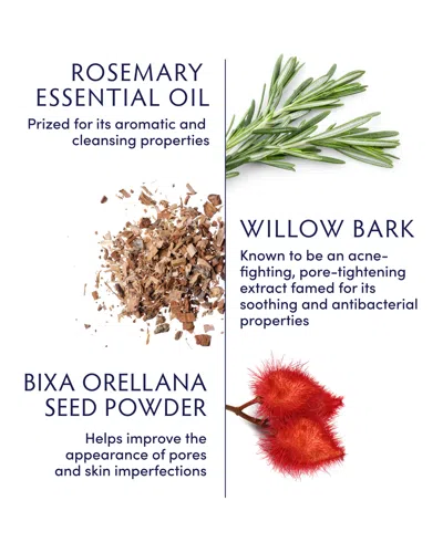 Naturopathica Rosemary & Willow Bark Clarifying Moisturizer