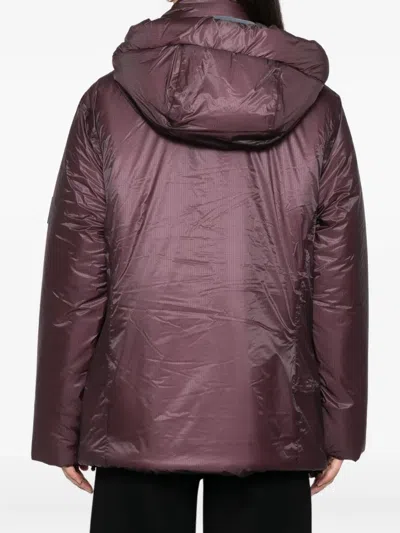 Rains Torna Hooded Padded Nylon Jacket In Burgundy