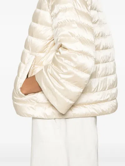 Add Down Short Jacket In Multi