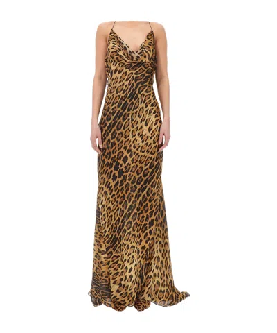 Roberto Cavalli Cowl-neck Leopard-print Maxi Dress In Animal Print