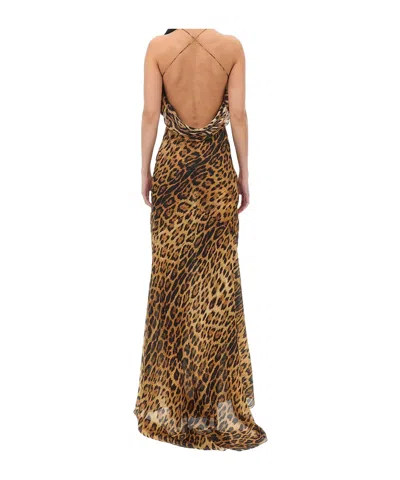 Roberto Cavalli Cowl-neck Leopard-print Maxi Dress In Animal Print