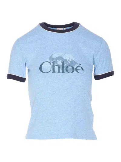 Chloé Chloè Logo Cotton T Shirt In Animal Print