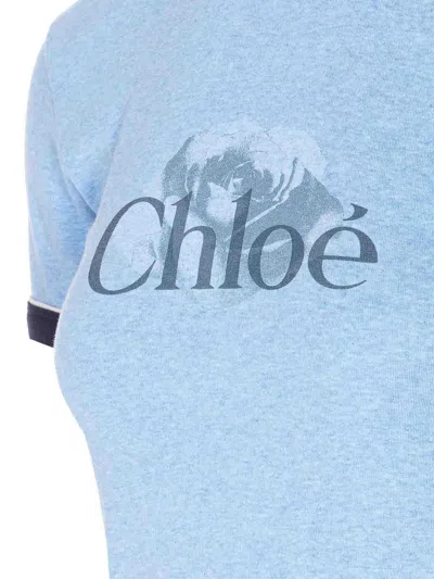 Chloé Chloè Logo Cotton T Shirt In Animal Print