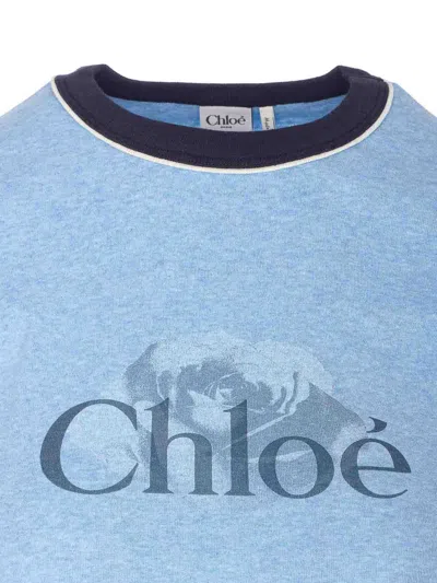 Chloé Chloè Logo Cotton T Shirt In Animal Print