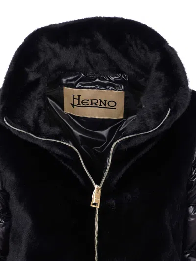 Herno Black Bomber With Zip Closure In Black