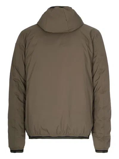 Blauer Giubbino Derry Verde Bosco In Brown