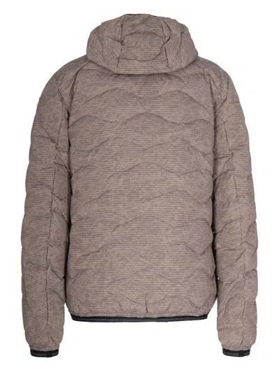 Blauer Hooded Quilted Jacket In Neutral