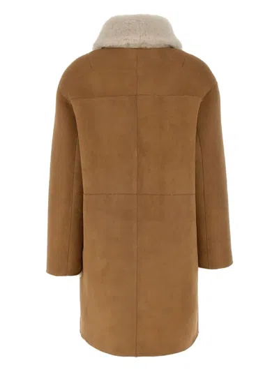 Hiso Gyro Shearling-lapels Coat In Brown