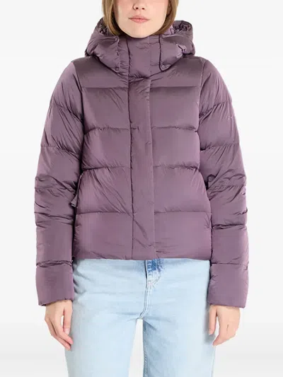 Columbia Amaze Puff™ Hooded Jacket In Purple
